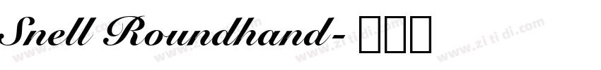 Snell Roundhand字体转换